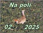 Na poli